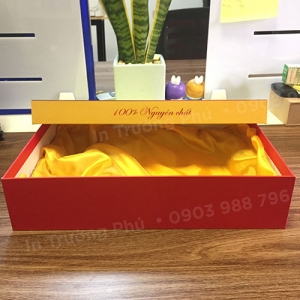 Túi hộp TP021