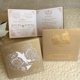 DQ-B1826-VANG LOT NHU