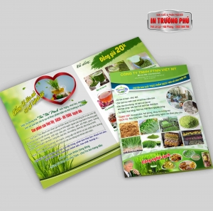 TỜ GẤP