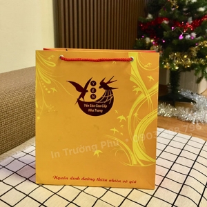 Túi hộp TP011