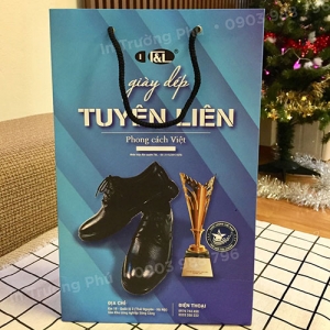 Túi hộp TP009