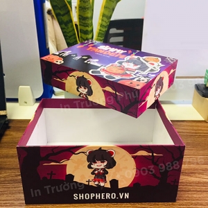 Túi hộp TP022