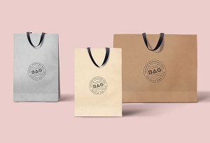 Túi giấy cho Shop thời trang