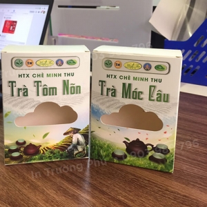 Túi hộp TP008