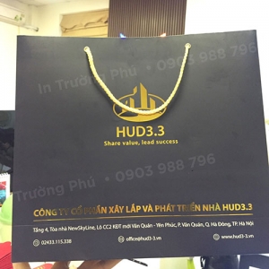 Túi hộp TP024