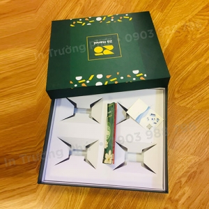 Túi hộp TP004