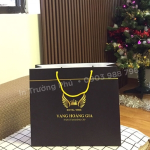 Túi hộp TP013