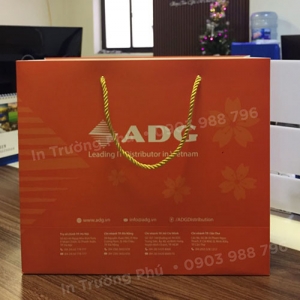 Túi hộp TP007