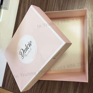 Túi hộp TP027