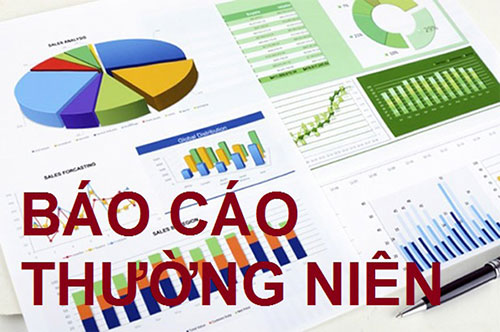 In báo cáo thường niên tại Hải Phòng